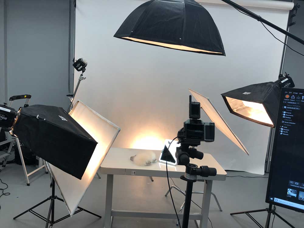 Slippers photoshoot on white background at the studio